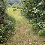 Fantastic In The Woods & Boat For Or 2 Days Free Boat On 7 Days * Litangen
