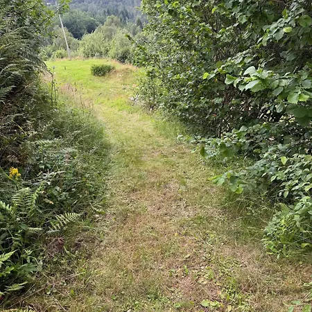 Beautiful Fjord Cabin Near Bergen With Boat And Private Garden * Litangen